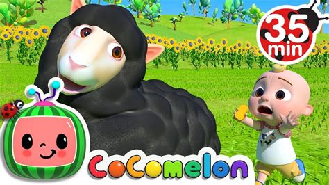 cocomelon nursery rhymes|cocomelon nursery rhymes baa baa black sheep.